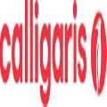 Calligaris Washington