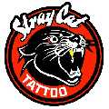 Stray Cat Tattoo
