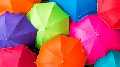 S Marketing Agency