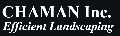 CHAMAN INC