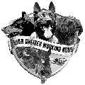 High Caliber Working Dog Training
