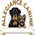 Allegiance Canine