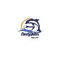 Dolphin Safari Charter