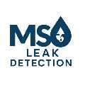 MS Leak Detection Tampa