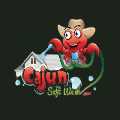 Cajun Softwash
