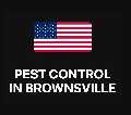 Pest Control in Brownsville