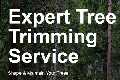 Rosas Tree Service of Fairfield