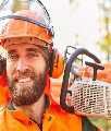 Tree Service Saratoga