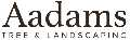 Aadams Tree Service, Trimming, & Stump Grinding Woodinville Wa