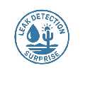 Leak Detection Surprise