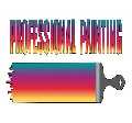 Professional Painting LLC