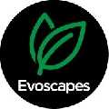 Evoscapes