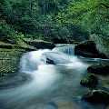 Experience natural healing with Tranquil Path Wellness