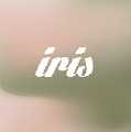 Iris Tattoo & Piercings Miami