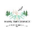 Hawk Tree Service