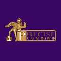 Precise Plumbing & Drain Services
