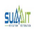 Summit Mitigation Restoration