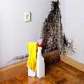 Seattle Water Damage Restoration