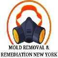 Mold Removal & Remediation New York - Bronx