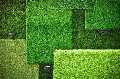Duncanville Artificial Grass