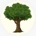 Rohnert Park Tree Services