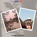 Top Free Classified Ads Site in Jaipur 365ads for Easy Ad Posting