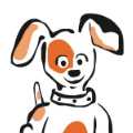 Doo Care – Dog Waste Removal Service