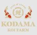 Kodama Koi Farm