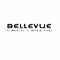 Bellevue Concrete Contractors