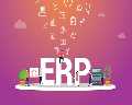 Web-Based ERP Software Development in India – Fast & Flexible