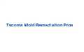 Tacoma Mold Remediation Pros
