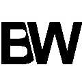 Bridgeweb - Toronto website design and development