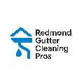 Redmond Gutter Cleaning Pros