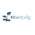 BlueSprig Smyrna - ABA Therapy for Autism