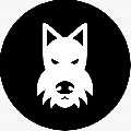 Terrier Agency