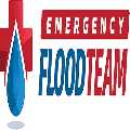 Restoration By Emergency Flood Team (Cottonwood)