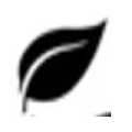 Choice Botanicals