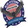 Blue Systems International