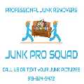 Junk Pro Squad