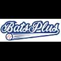 Bats Plus - Baseball and Softball Equipment