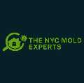 The NYC Mold Experts