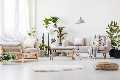 Home And Decor