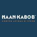 Naan Kabob - 1801 Lawrence Ave E