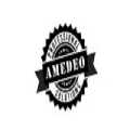 Amedeo Solutions