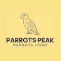 Buy Speaking Parrot Online UK