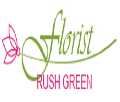 Florist Rush Green