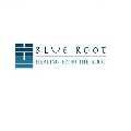 Blue Root Health