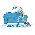 Carpet Couch Cleaning