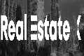Real Estate X