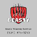 Beasty Plumbing Repairs & Service